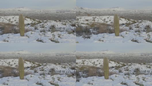 沙漠中的雪高清在线视频素材下载