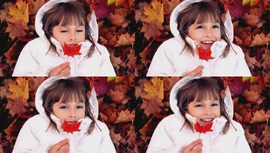 小女孩抱着一簇秋叶高清在线视频素材下载