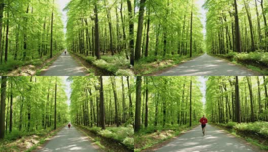 HD CRANE:在森林路上慢跑的人高清在线视频素材下载