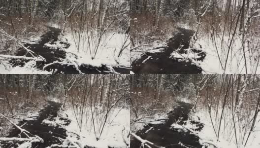 西雅图郊区的冬天高清在线视频素材下载