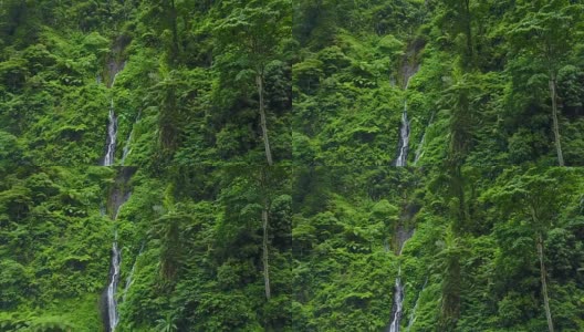 4K:无人机拍摄的Madakaripura瀑布，东爪哇，印度尼西亚高清在线视频素材下载