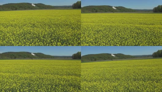 德国多瑙河流域空中立交桥上的油菜籽田高清在线视频素材下载