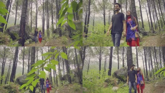 一对浪漫的年轻情侣在自然公园散步。高清在线视频素材下载