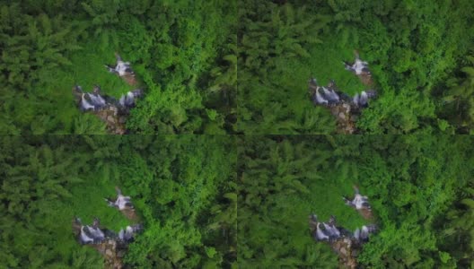鸟瞰图美丽的热带雨林瀑布在泰国高清在线视频素材下载