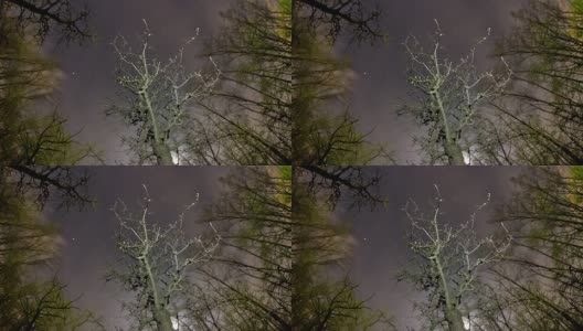 HD Motion Time-Lapse: Trees Against Night Cloudscape高清在线视频素材下载