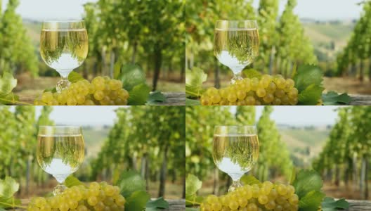 HD DOLLY:葡萄酒对抗葡萄园高清在线视频素材下载