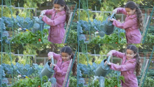 西班牙女孩在社区花园浇花高清在线视频素材下载