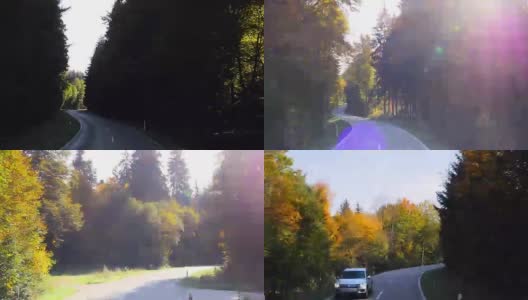 POV T/L Driving Through Autumn Forest (4K/UHD to HD)高清在线视频素材下载