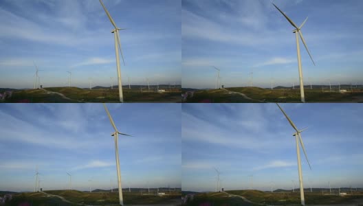 风力涡轮机与鲜花农场在山上，考霍尔，碧差汶，泰国高清在线视频素材下载