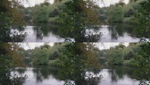 秋河,北爱尔兰高清在线视频素材下载