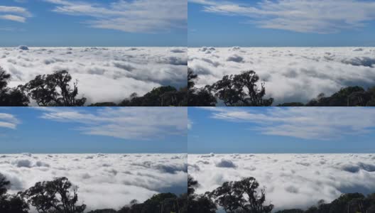 雾海或云海在清晨的天空中随时间推移而移动。雾海由层层形成。云层之上。泰国清迈Inthanon山kew Mae Pan自然步道的平坦地面高清在线视频素材下载