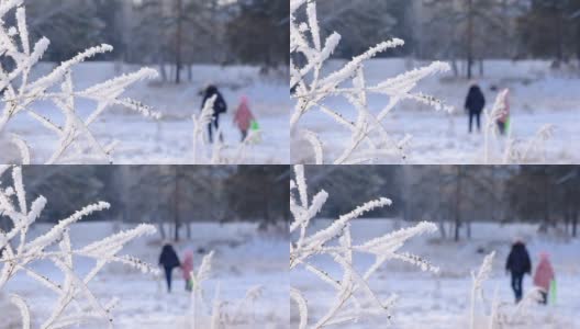 冬天的场景，令人惊叹的冰冻的自然，人们在雪中行走在美好的冬日。高清在线视频素材下载