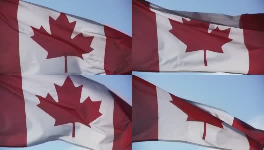 HD:加拿大国旗特写高清在线视频素材下载