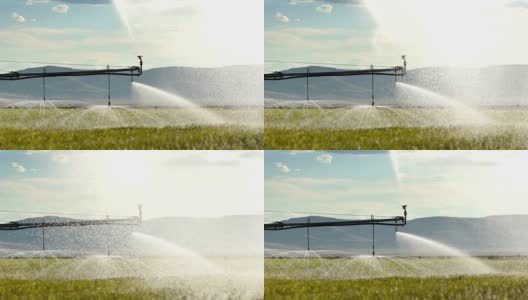 灌溉系统灌溉夏季作物高清在线视频素材下载