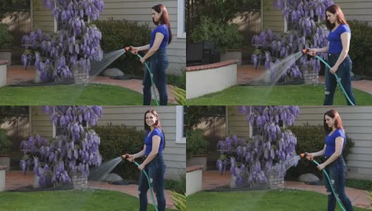 年轻女子给花园浇水高清在线视频素材下载