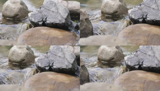 野山河流与石头巨石和石头急流。在克里克飞溅的水。夏天的山涧。丰富的清澈的溪流高清在线视频素材下载