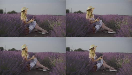 在薰衣草地里，戴着帽子的金发女郎坐在灌木丛中，制作薰衣草花束，微笑着欣赏夏日的日出或日落。自然与旅游理念。高清在线视频素材下载