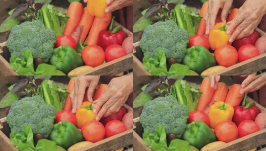收获新鲜蔬菜，放入木盒内高清在线视频素材下载