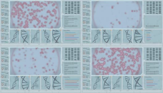 三维DNA结构与红色生物病毒模式的交互界面在培养皿中显微镜下复制生长。高清在线视频素材下载