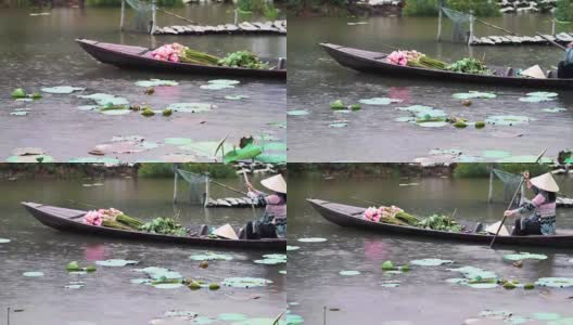 在越南同塔省塔Muoi的大湖里，一名越南女子在雨中划着传统的木船，荷花和荷花荚，4k视频场景，文化和生活理念高清在线视频素材下载