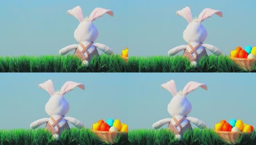 复活节兔子高清在线视频素材下载