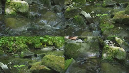 春天森林里的小溪高清在线视频素材下载