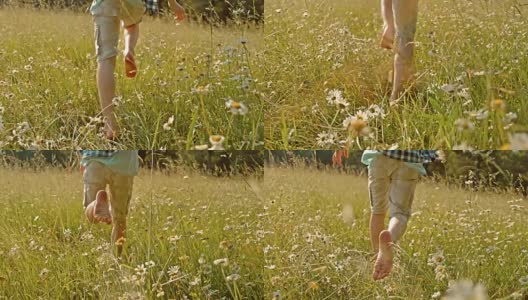 SLO MO TS赤脚男孩在高草地上奔跑高清在线视频素材下载
