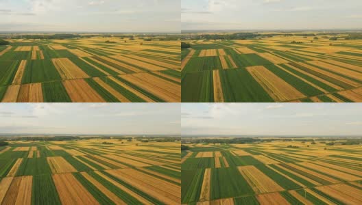 空中农业在斯洛文尼亚的农村高清在线视频素材下载
