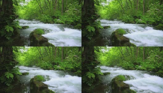 Stream in green forest高清在线视频素材下载