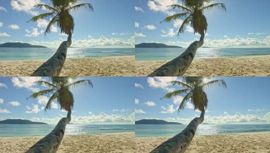 多莉:安斯福尔米斯美丽的海滩高清在线视频素材下载