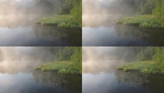 夏日清晨拂晓时，雾漂浮在森林湖上高清在线视频素材下载