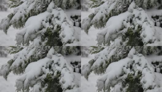 冬天和雪高清在线视频素材下载