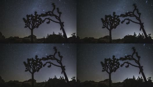 时光流逝:沙漠与乔舒亚树在夜间跟踪拍摄高清在线视频素材下载