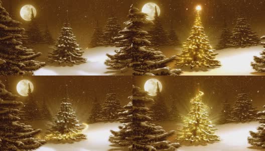 温暖的金色冬季景观装饰圣诞树。高清在线视频素材下载