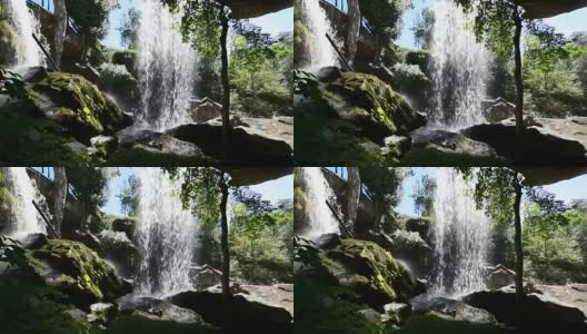 雨林瀑布高清在线视频素材下载
