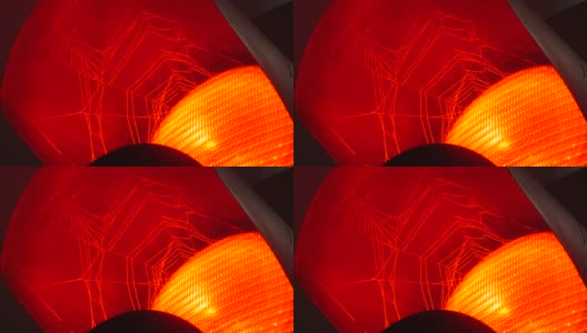 蜘蛛在交通灯上编织的红灯高清在线视频素材下载