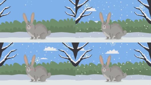 兔子在冬季雪景季节高清在线视频素材下载