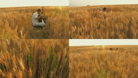HD CRANE:浪漫的小麦高清在线视频素材下载