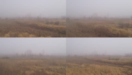 无人机拍摄的大雾清晨的沼泽景象高清在线视频素材下载
