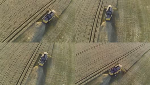Harvester on field from above高清在线视频素材下载