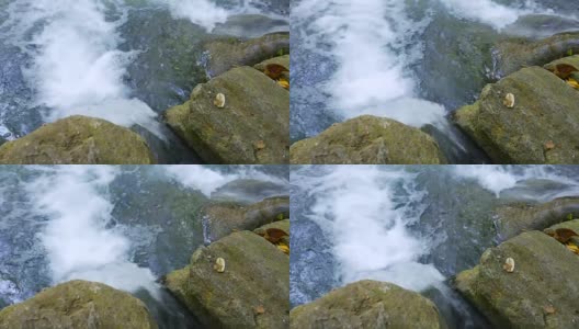 多莉拍摄:美丽的绿色大自然中的瀑布高清在线视频素材下载