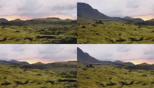 冰岛毛茸茸苔藓的超现实景观高清在线视频素材下载