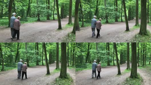 老夫妇在公园里高清在线视频素材下载