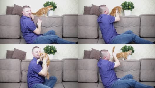 一名男子开了一个关于宠物的家庭博客，用摄像机拍摄了一只缅因州的小猫高清在线视频素材下载