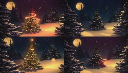 冬季景观与圣诞树复古的颜色高清在线视频素材下载