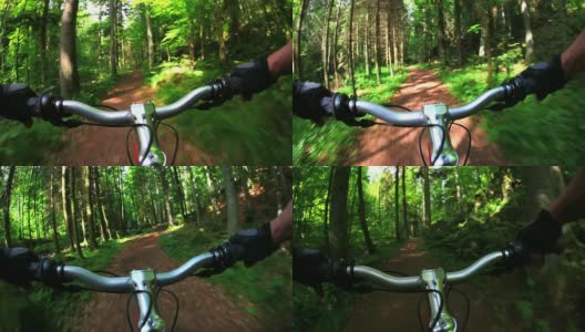 高清山地自行车穿越春天的森林高清在线视频素材下载