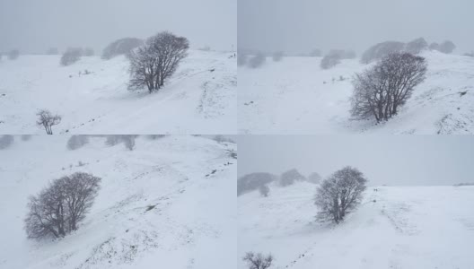 春天的雪在日内瓦附近的山上，沙勒维，法国高清在线视频素材下载