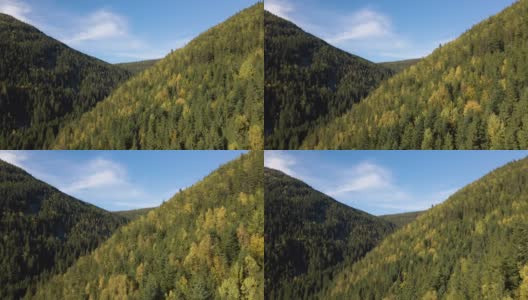 在秋天明亮的日子里，从空中俯瞰高耸的山丘和黑色的松树林。野生山林的惊人景色高清在线视频素材下载