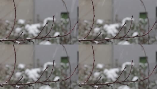 雪花从上方无缝循环飘落高清在线视频素材下载