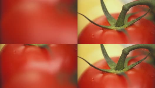 高清:番茄高清在线视频素材下载